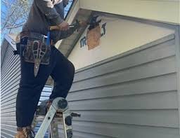 Best Historical Building Siding Restoration  in Vley, AL